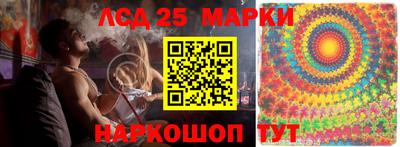 спиды Кандалакша