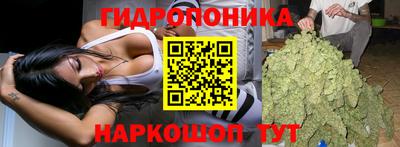первитин Камышлов