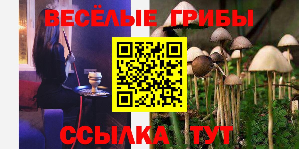 Галлюциногенные грибы Psilocybine cubensis  Вход с VPN  Волхов  Псилоцибиновые грибы мухоморы 