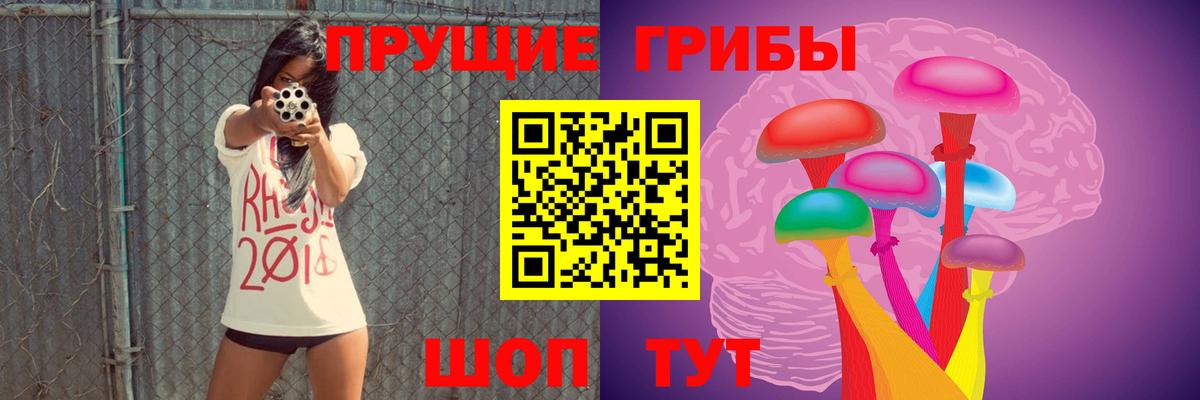 Галлюциногенные грибы MAGIC MUSHROOMS Волхов